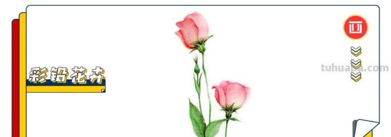 彩铅画出来的花卉，生动形象