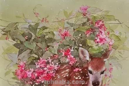 一组栩栩如生的动物水彩画欣赏