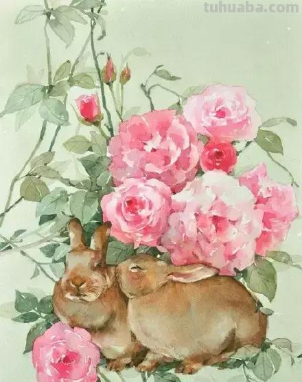 一组栩栩如生的动物水彩画欣赏