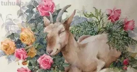 一组栩栩如生的动物水彩画欣赏