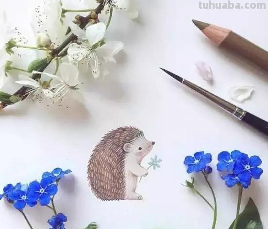 一组小动物水彩画