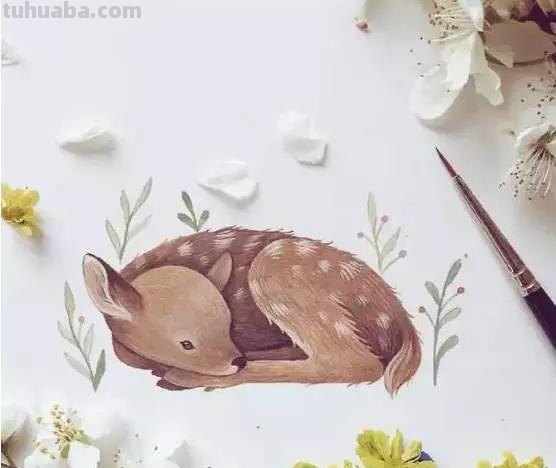 一组小动物水彩画