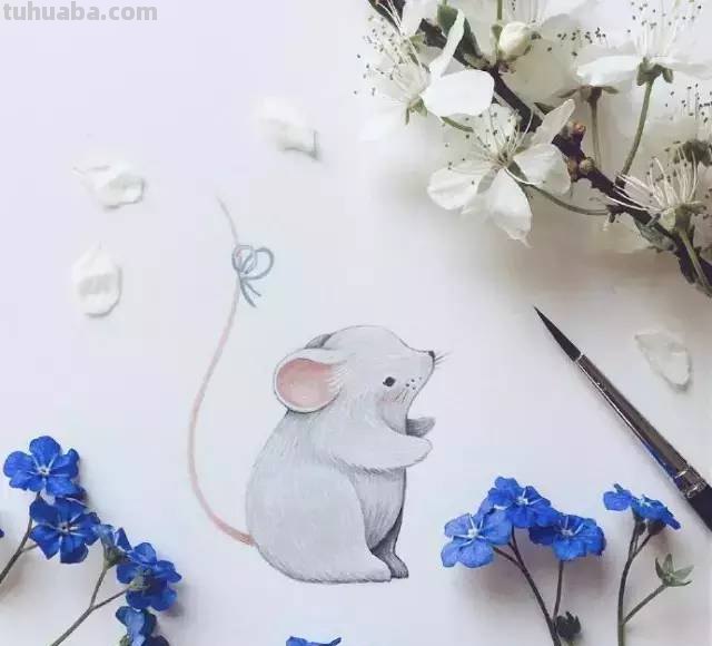一组小动物水彩画