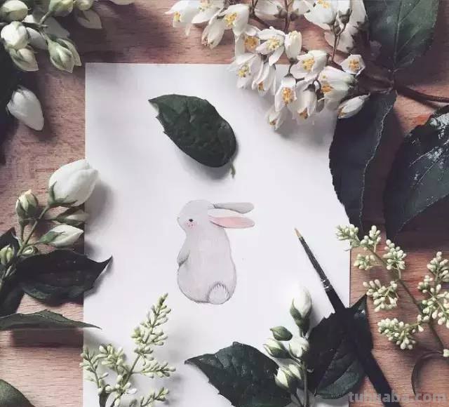 一组小动物水彩画