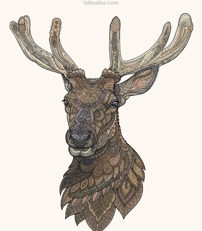 水彩与抽象图案结合绘制，创作出个性鲜明的动物插画，繁复精致