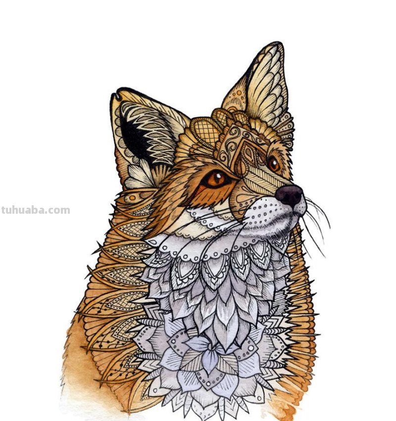 水彩与抽象图案结合绘制，创作出个性鲜明的动物插画，繁复精致