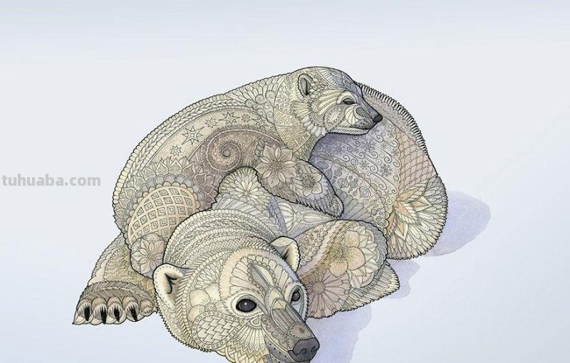 水彩与抽象图案结合绘制，创作出个性鲜明的动物插画，繁复精致