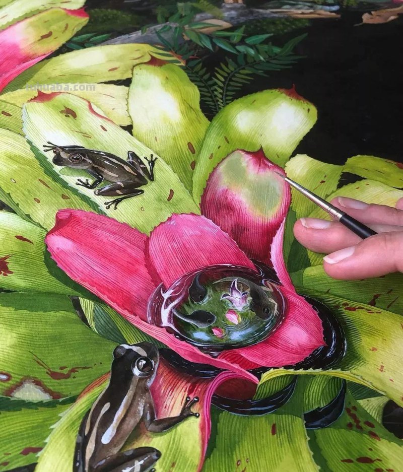 水彩插画—水彩里的动物世界，神奇的色彩