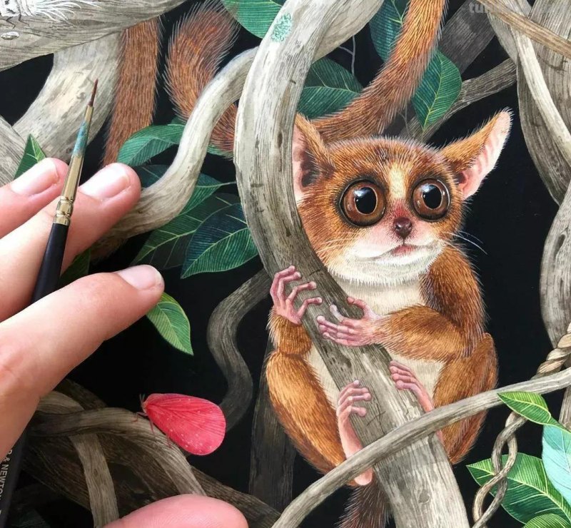 水彩插画—水彩里的动物世界，神奇的色彩