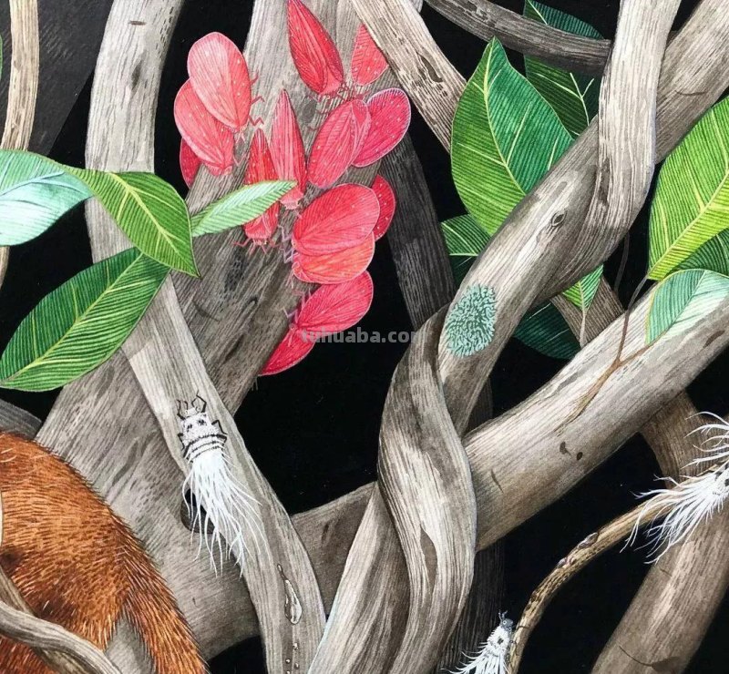 水彩插画—水彩里的动物世界，神奇的色彩