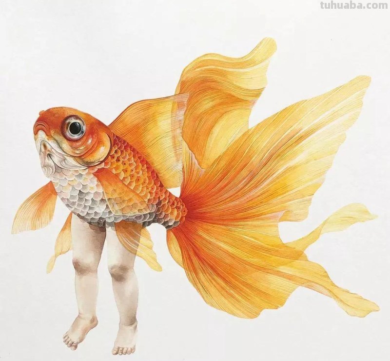 水彩插画—水彩里的动物世界，神奇的色彩