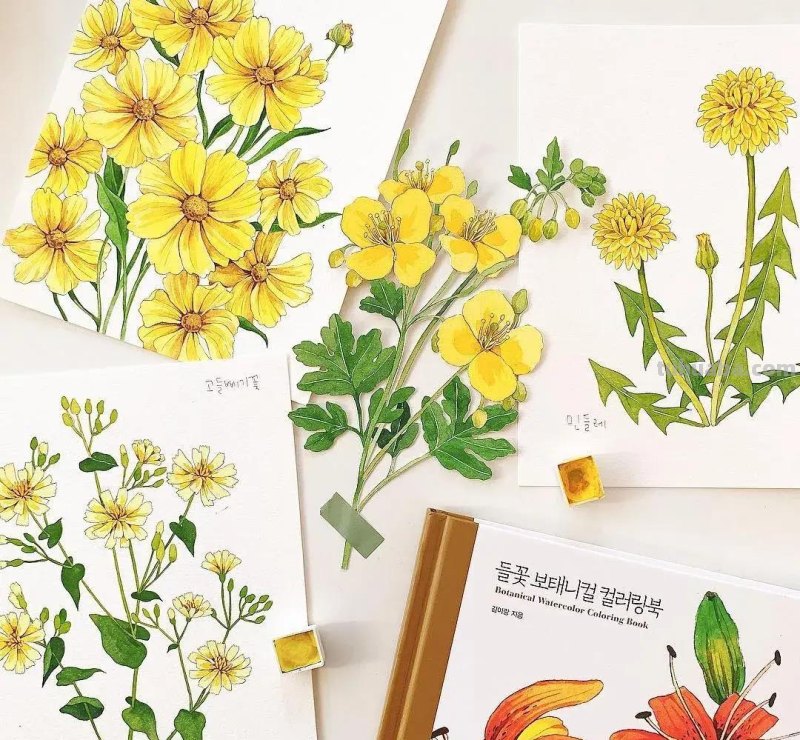 水彩女神笔下撩人的插画，无数粉丝为之疯狂，一笔一画美醉了