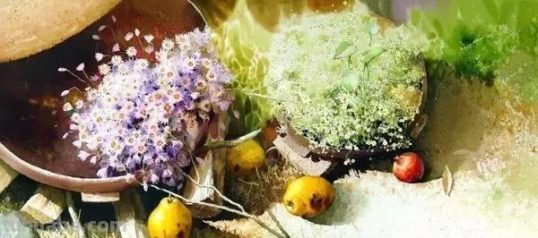 40幅超清新自然的花卉蔬果风景绘画欣赏，网友！每一幅我都像我