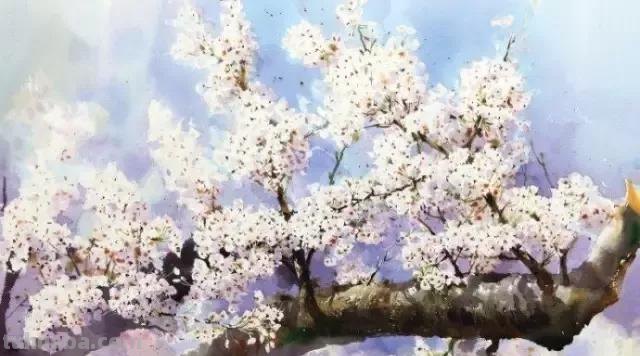 40幅超清新自然的花卉蔬果风景绘画欣赏，网友！每一幅我都像我