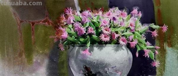 40幅超清新自然的花卉蔬果风景绘画欣赏，网友！每一幅我都像我