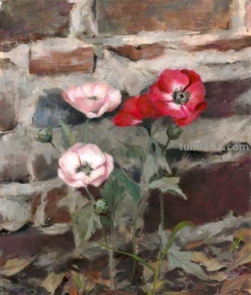 花卉静物油画 美国画家Holly Hope Banks作品