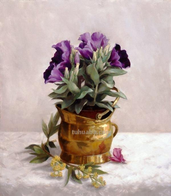 花卉静物油画 美国画家Holly Hope Banks作品