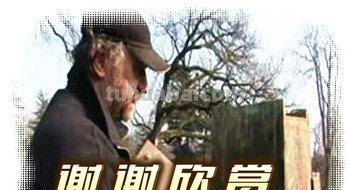 俄罗斯画家 Serguei Toutounov 花卉静物油画