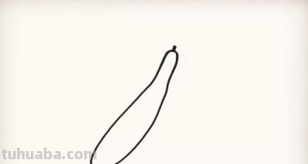 芹菜怎么画简笔画(芹菜怎么画简笔画图片) 芹菜怎么画简笔画(芹菜怎么画简笔画图片)