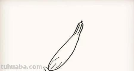 芹菜怎么画简笔画(芹菜怎么画简笔画图片) 芹菜怎么画简笔画(芹菜怎么画简笔画图片)