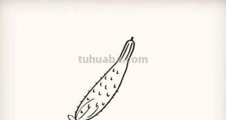 芹菜怎么画简笔画(芹菜怎么画简笔画图片) 芹菜怎么画简笔画(芹菜怎么画简笔画图片)