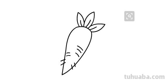 芹菜怎么画简笔画(芹菜怎么画简笔画图片) 芹菜怎么画简笔画(芹菜怎么画简笔画图片)