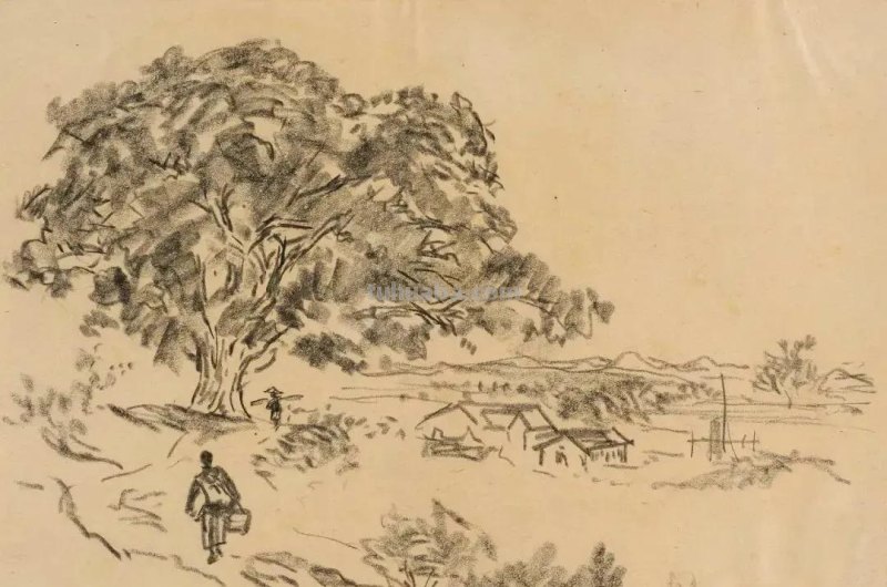 叶浅予的速写绘画作品