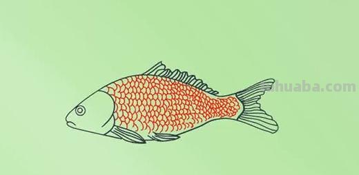 剑鱼简笔画怎么画(剑鱼简笔画怎么画好看) 剑鱼简笔画怎么画(剑鱼简笔画怎么画好看)