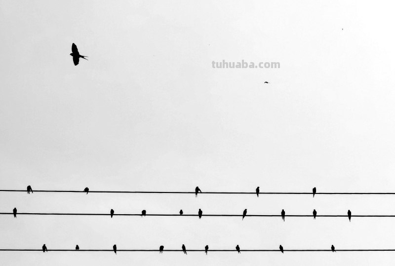 19张普通人拍出来的好照片:优秀的构图,总会让人眼前一亮 19张普通人拍出来的好照片:优秀的构图,总会让人眼前一亮