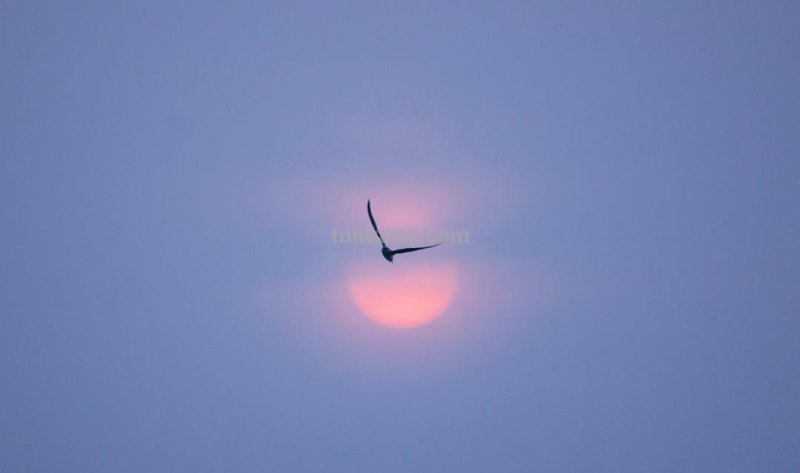 19张普通人拍出来的好照片:优秀的构图,总会让人眼前一亮 19张普通人拍出来的好照片:优秀的构图,总会让人眼前一亮