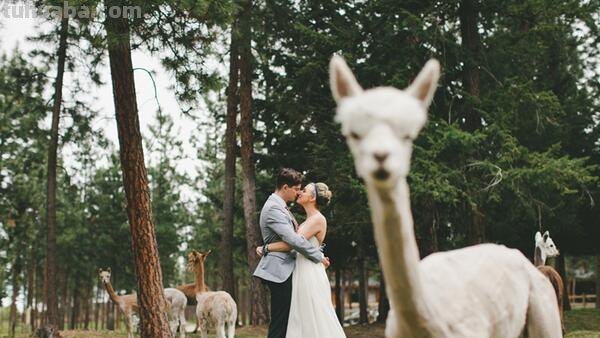 32张最受喜爱年度优质婚纱摄影作品赏 32张最受喜爱年度优质婚纱摄影作品赏