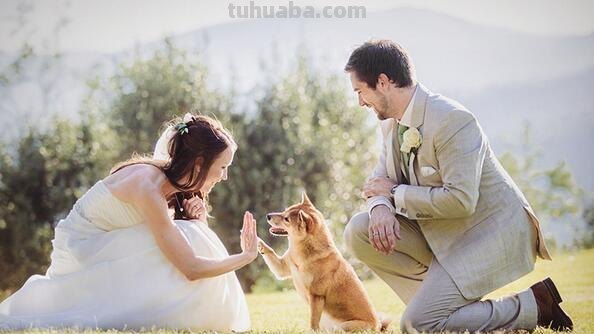 32张最受喜爱年度优质婚纱摄影作品赏 32张最受喜爱年度优质婚纱摄影作品赏