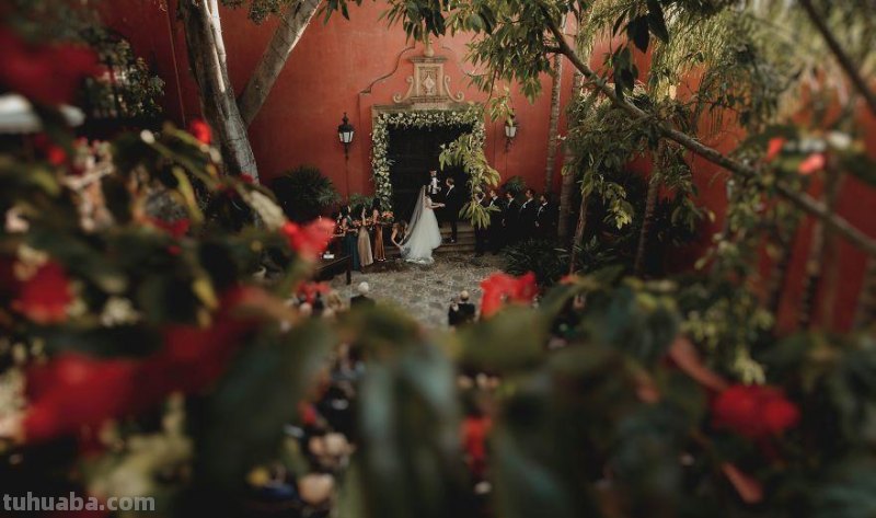 40个全球最佳婚纱摄影目的地，看完觉得之前拍的都是“假”婚纱照