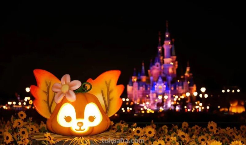 脑洞清奇！上海迪士尼惊现各路COS大神！个个都是戏精，差点笑死在园子里