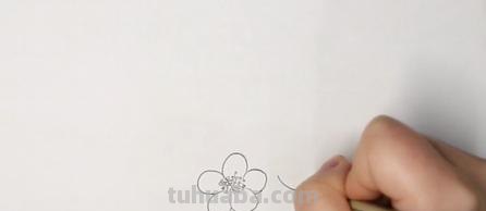 彩铅梅花风景怎么画（彩铅梅花风景怎么画的）