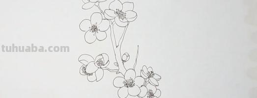彩铅梅花风景怎么画（彩铅梅花风景怎么画的）