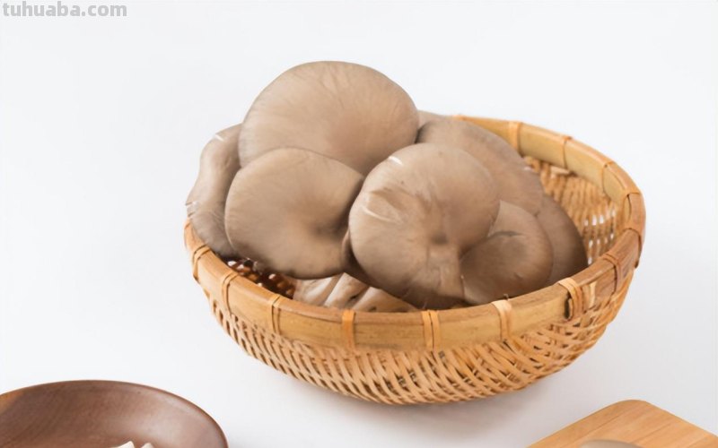 家庭蘑菇菌包种植，记住这4点，轻松种出蘑菇