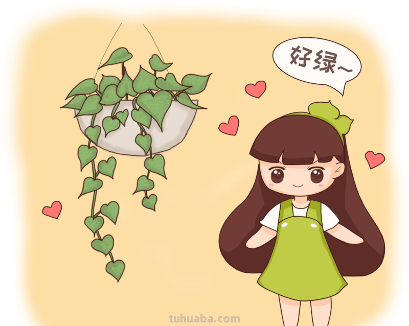 都说绿萝好养，怎么我养的就没有同事的长得好？