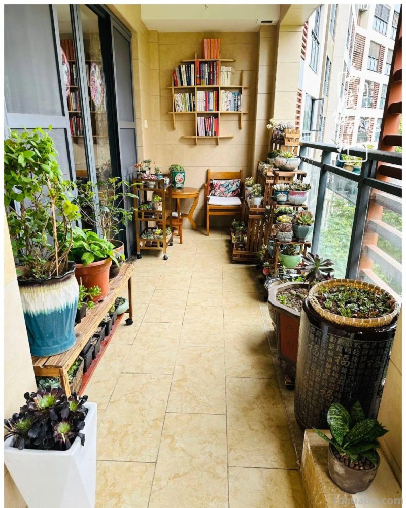 多肉新手的疯狂，肉坑的你能秒懂