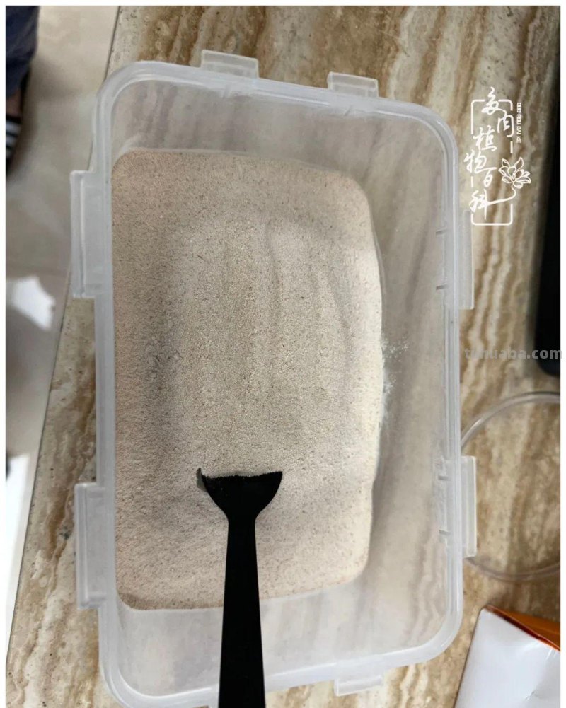 多肉新手的疯狂，肉坑的你能秒懂