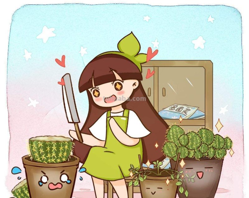 跟风买的网红仙人掌，教你5招养护技巧，颜值不得了