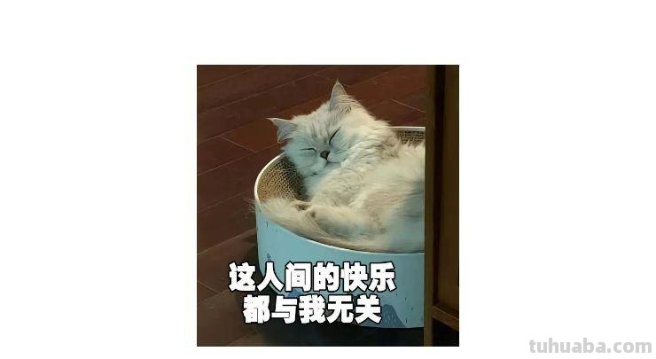 画技-20 可爱值+30，简笔国风小美人，这回你总能眼会手也会了吧