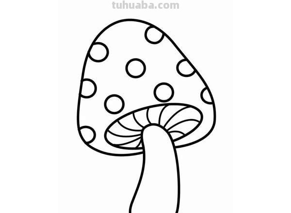 每天学一幅简笔画-一大波蔬菜简笔画图片大全