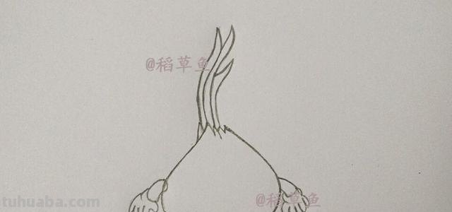 7款儿童简笔画教你画卡通蔬菜表情大作战 学会察言观色提高审美