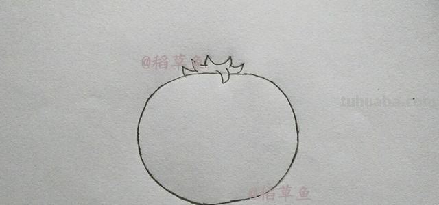 7款儿童简笔画教你画卡通蔬菜表情大作战 学会察言观色提高审美
