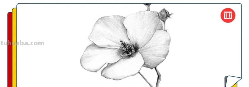 上班那么累，教你画一朵花，放松一下心情