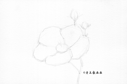 上班那么累，教你画一朵花，放松一下心情