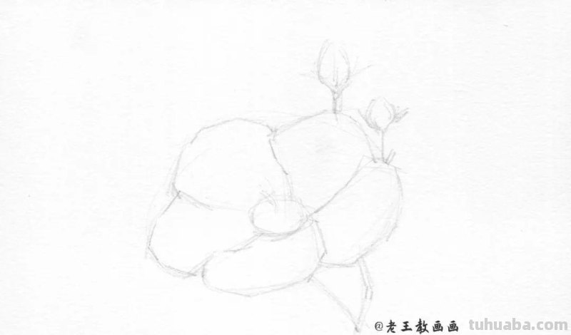 上班那么累，教你画一朵花，放松一下心情