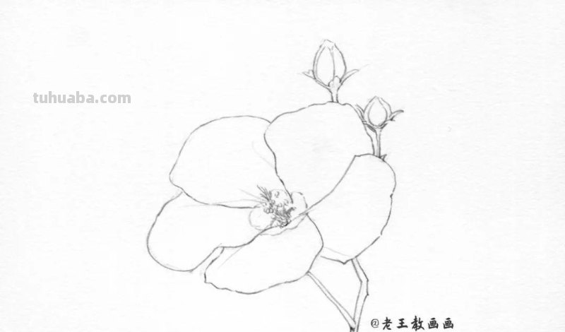 上班那么累，教你画一朵花，放松一下心情