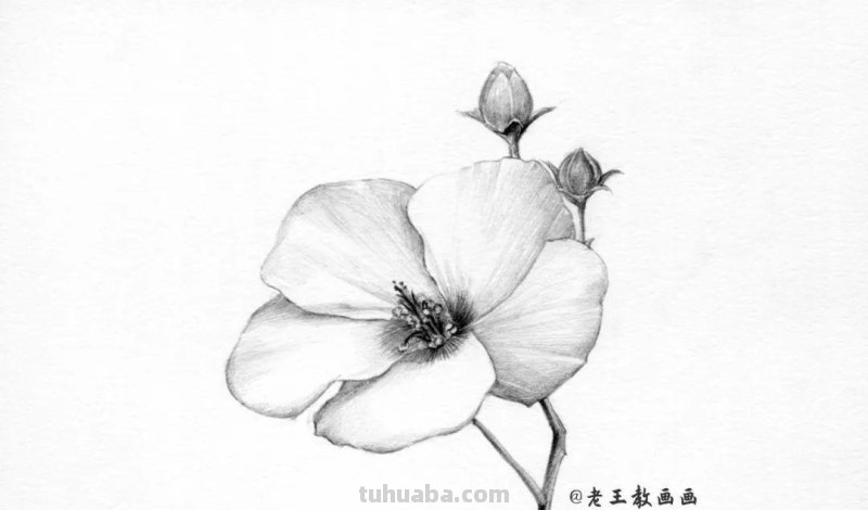 上班那么累，教你画一朵花，放松一下心情